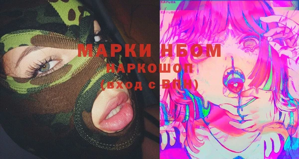 тгк Пересвет