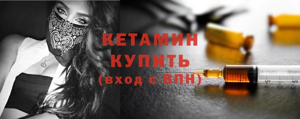 шишки Пестово