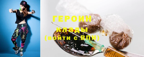тгк Пересвет