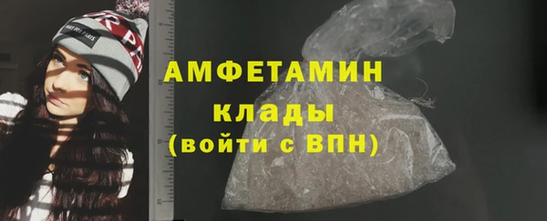 шишки Пестово