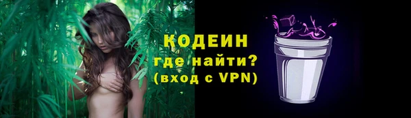 индика Осташков