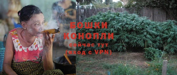 шишки Пестово