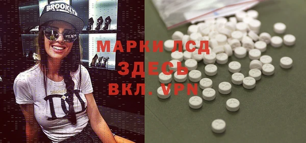 шишки Пестово