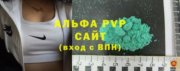 шишки Пестово
