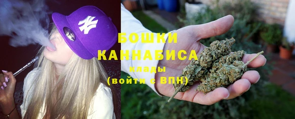 тгк Пересвет