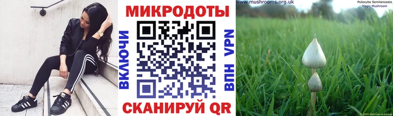 Галлюциногенные грибы мухоморы  Тайга 